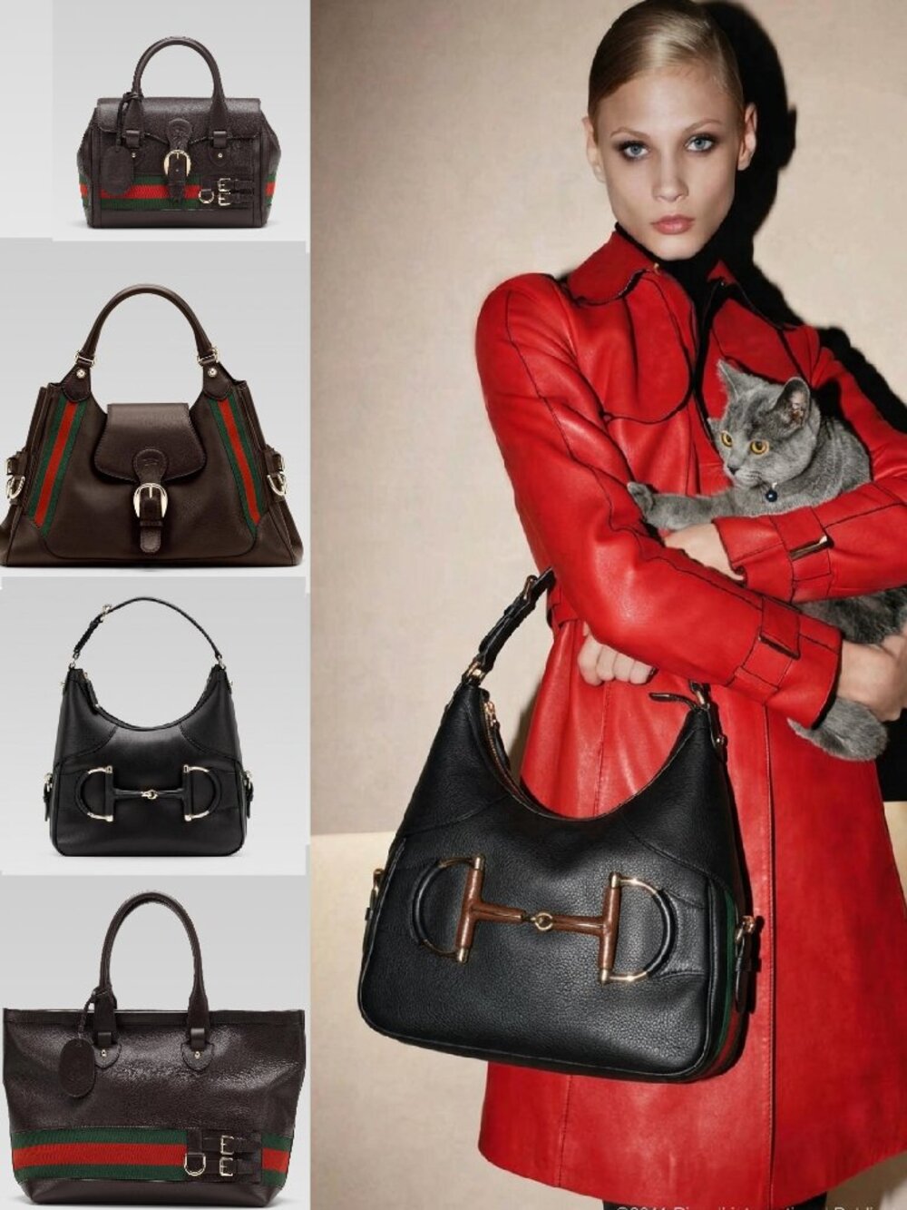 Gucci Heritage Horsebit Web Hobo - Picture 16 of 16
